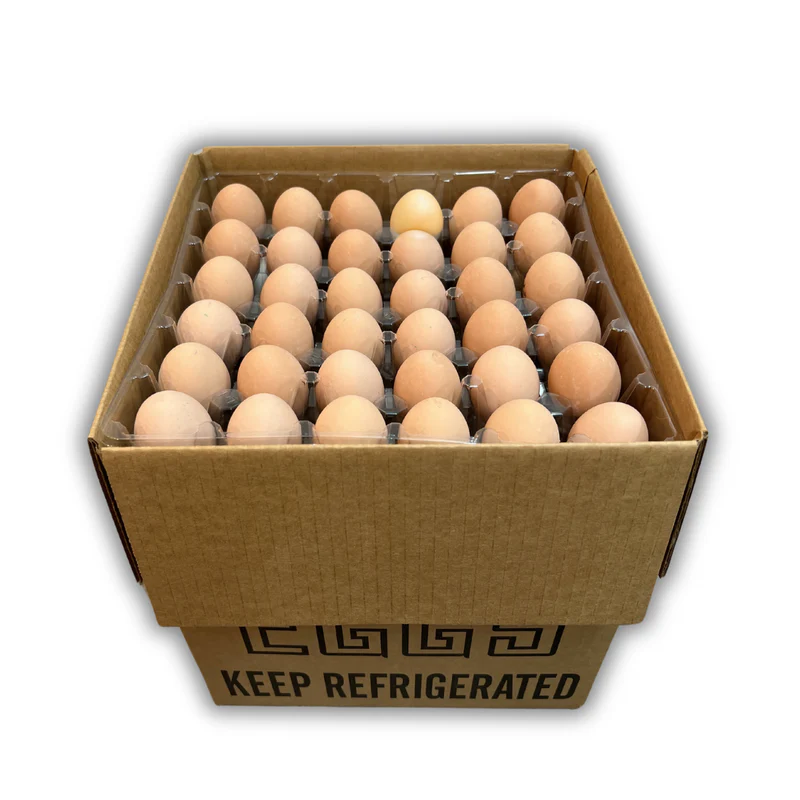Egg free size 20 pack in case